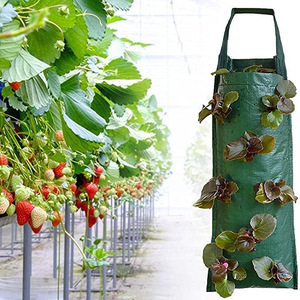 Sac de culture suspendu pour <span class=keywords><strong>fraises</strong></span> Sac de plantation suspendu pour jardinage - Product Image 4