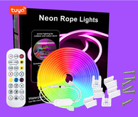Bande LED RGB 5M, étanche IP65, en PVC, compatible WiFi, synchronisation musicale, décoration paysagère DIY