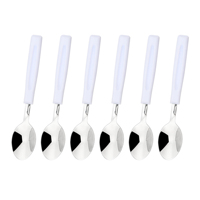 Lot de 6 mini-cuillères en acier inoxydable avec manche en PP pour thé, café, dessert – Logo personnalisé, commande d'échantillon OEM prise en charge