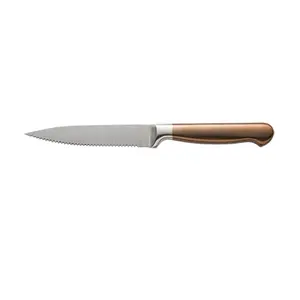 Homsense Supplier Wholesale Hot Sale Kitchen Knife Factories Stainless Steel Knife Set premium Steak titanium Knife Sets