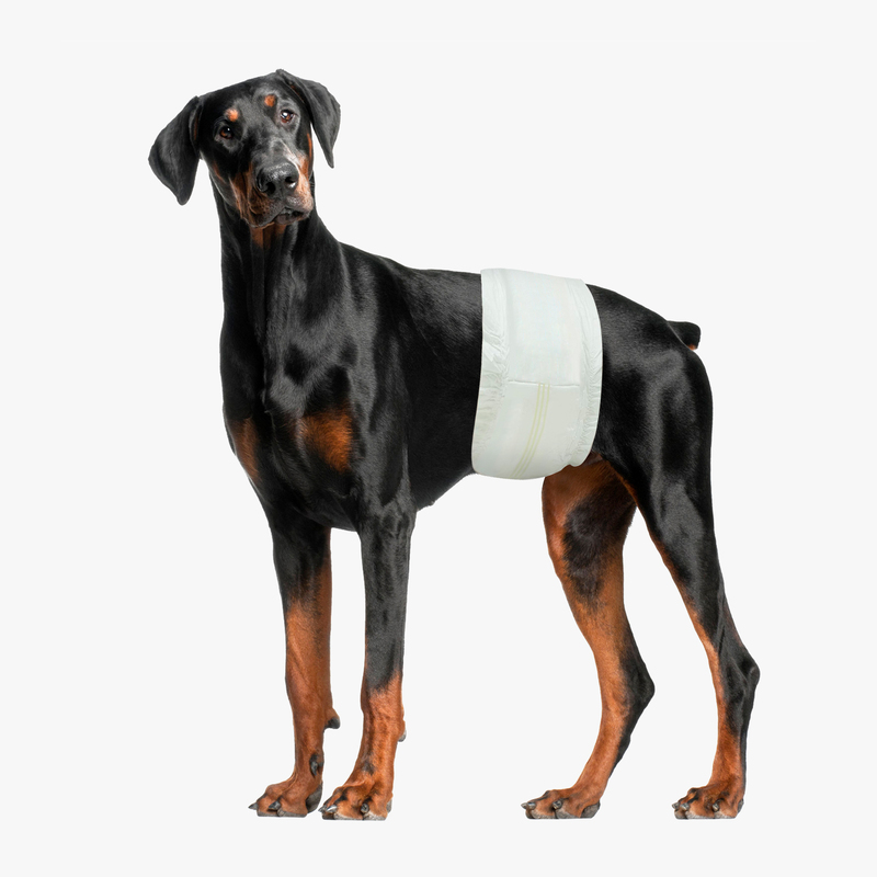 Professional Disposable Breathable Non Woven Fabric