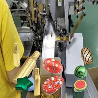 Machine d'emballage de chocolat sur mesure, entièrement automatique, à fonctionnement rapide, conçue sur mesure