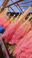LUYI 2024 Penjualan Terlaris Bunga Kering Gypsophila Awet, Bunga Baby Breath Asli untuk Dekorasi Pernikahan