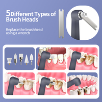 Brosse à dents électrique rechargeable Rongzhou pour le blanchiment des dents avec pâte, pour usage domestique et soins personnels