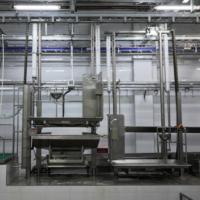 Ligne d'abattage automatique pour bovins, vaches et buffles, équipement d'abattoir, machine de transformation de la viande de bœuf