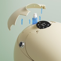 Siège de toilette intelligent multicolore en forme d'œuf et de baleine avec bidet intégré, pulvérisation d'eau automatique, chauffage, télécommande et céramique