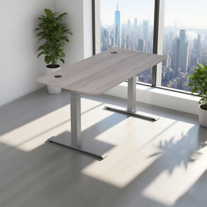 <span class=keywords><strong>Bureau</strong></span> d'ordinateur moderne en acier pour direction, réglable en hauteur, pour usage professionnel et domestique - Product Image 2