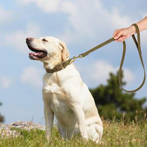 <span class=keywords><strong>Collar</strong></span> ajustable duradero de liberación rápida para mascotas, <span class=keywords><strong>Collar</strong></span> de perro de cuero PU con hebilla de metal - Product Image 4