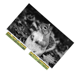 Module d'affichage papier e 31.2 pouces 16 niveau de gris large température écran eink grand écran eink - Product Image 6