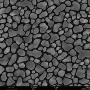 <span class=keywords><strong>Microscopio</strong></span> Electrónico de Barrido de Emisión en Campo BestScope BDEM-25, Resolución <2nm, Ampliación 500000X, FESEM - Product Image 3