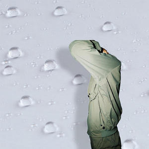 20Dポリエステルオリジナル糸日焼け止めUV耐性UPF50 + アイスシルクジャカード56gナイロンポリエステル防水タフタ生地 - Product Image 1