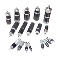Moteur à courant continu brossé 4 pôles haute puissance 80ZYT155 taille compacte avec couple élevé construit avec aimant permanent
