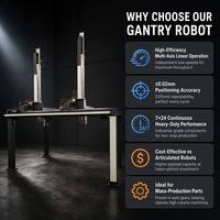 Bras robotisé automatique léger à portique, haute précision, double axe Z, avec servomoteur et roulement pour l'assemblage de pièces