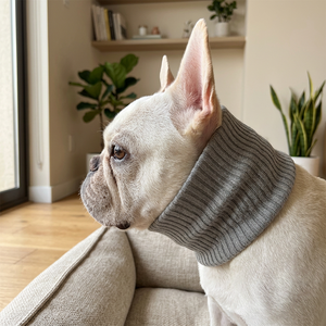 Écharpe en tricot de couleur unie antistatique et écologique pour animaux de compagnie - Product Image 1