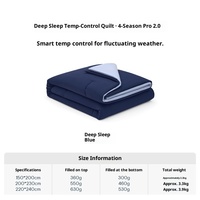 Hôtel/maison même style Planet Deep Sleeping Pro mère Double couche contrôle de la température Anti-acariens 100% Polyester housse de couette