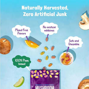 Oem pribadi merek jamur Gummies organik suplemen otak ekstrak Jamur Booster energi memori jamur Gummies - Product Image 3