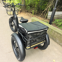 Tricycle électrique cargo pour adultes, entrepôt UE, 48V 250W, vitesse maximale 25 km/h, cadre en aluminium, grand panier arrière