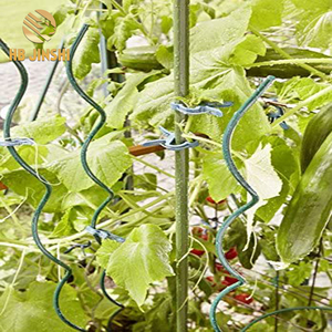 Fil d'acier lourd de 1,5 m de long pour le soutien des piquets en spirale de culture des haricots grimpants - Product Image 5