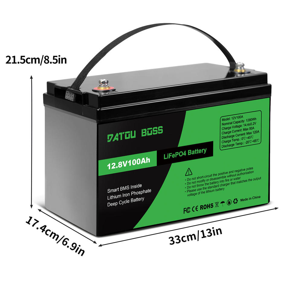 DATOU BOSS 12V 100Ah Rechargeable LiFePO4 Battery Pack Maintenance Free ...