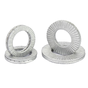 Arandela dentada autoblocante de doble pliegue de acero inoxidable 304/316 al por mayor, estándar <span class=keywords><strong>DIN</strong></span> <span class=keywords><strong>25201</strong></span> M3-M36, con superficie plana de zinc y forma de cuña - Product Image 1
