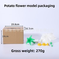 Modèle réaliste de fleur de pomme de terre pour l'enseignement et l'apprentissage des sciences Modèles interactifs pour les démonstrations en classe
