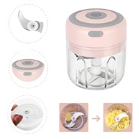250ML Elektrische Mini Knoflookhakker Roestvrijstalen Voedselverwerker voor Fruit Groenten Vlees Salade Grinder Stamper Snijder