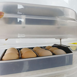 Incubatrice per Uova Piccola a Basso Costo con Alta Percentuale di Schiusa, per 9 Uova di Gallina, in Vendita in Zambia - Product Image 6