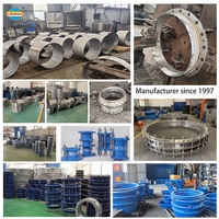 Joint de démontage télescopique à double bride en fonte ductile de grand diamètre DN1200 Ansi pour conduite de plomberie en acier inoxydable