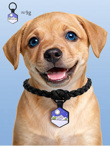 Pelacak Tag Hewan Peliharaan Logo Kustom, Enamel Peredam, Kode QR, Cetakan Pribadi, Baja Tahan Karat, Karet Silikon Tahan Tarik, Tali untuk Anjing Ukuran <span class=keywords><strong>S</strong></span>/M/L - Product Image 6