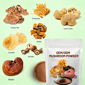 OEM Mezcla de Melena de León, Maitake, Chaga, Cordyceps, <span class=keywords><strong>Ganoderma</strong></span> Reishi, Extracto de Hongos en Polvo, Fórmula Multihongos, Marca Privada - Product Image 6