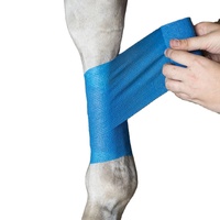 Atçılık ürünü at bacak sarma hock wrap kendinden yapışkanlı yapışkanlı bandaj at 10cm
