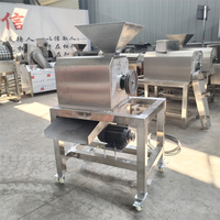 Industriële olijvenontpitter, -knijper en -extractor, enkelvoudige verwerking voor fruitpuree, capaciteit 20kg/u, 220V