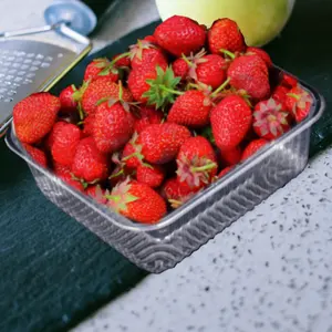 Conteneurs blister fraise framboise myrtille personnalisés Boîtes d'emballage Récipient alimentaire en plastique transparent Boîte à gâteau Pet