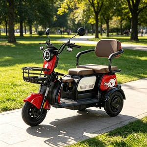 Triciclo Eléctrico de 3 Ruedas con Carrocería Abierta de Acero, Neumático 300-8, 48V, Motor de 600W en la Rueda Trasera, <span class=keywords><strong>Precio</strong></span> de Fábrica, para Adultos y Personas Mayores - Product Image 1