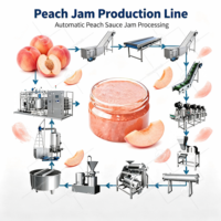 ORME Hoge Efficiëntie Fruitjam Productielijn Tomatenpuree Rode Dadel Peer Mango Ananas Appel Sinaasappel Marmelade Jam Machines