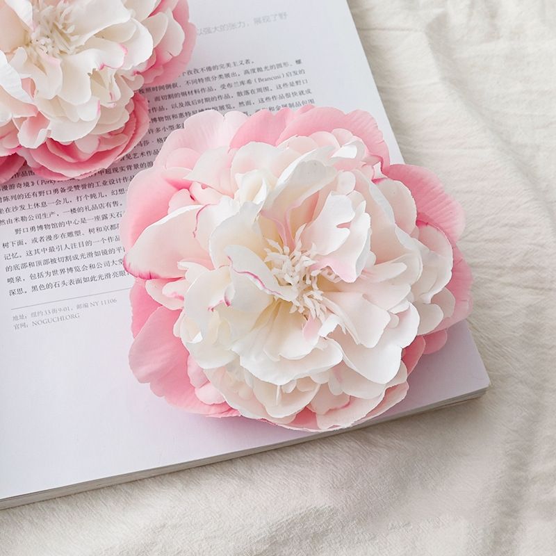 Tête de fleur de pivoine rose