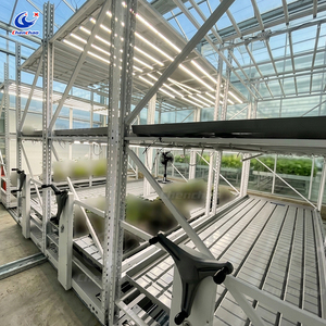 Sistema di Coltivazione Verticale Multilivello, Banco Mobile a Flusso e Riflusso <span class=keywords><strong>per</strong></span> Serre Idroponiche Indoor - Product Image 6