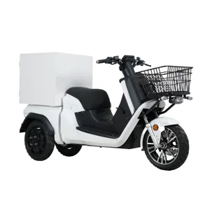 Yüksek güç EEC yetişkin elektrikli scooter 3000w elektrikli bisiklet motosiklet üç tekerlekli bisiklet elektrikli bisiklet 3 tekerlekli yetişkin