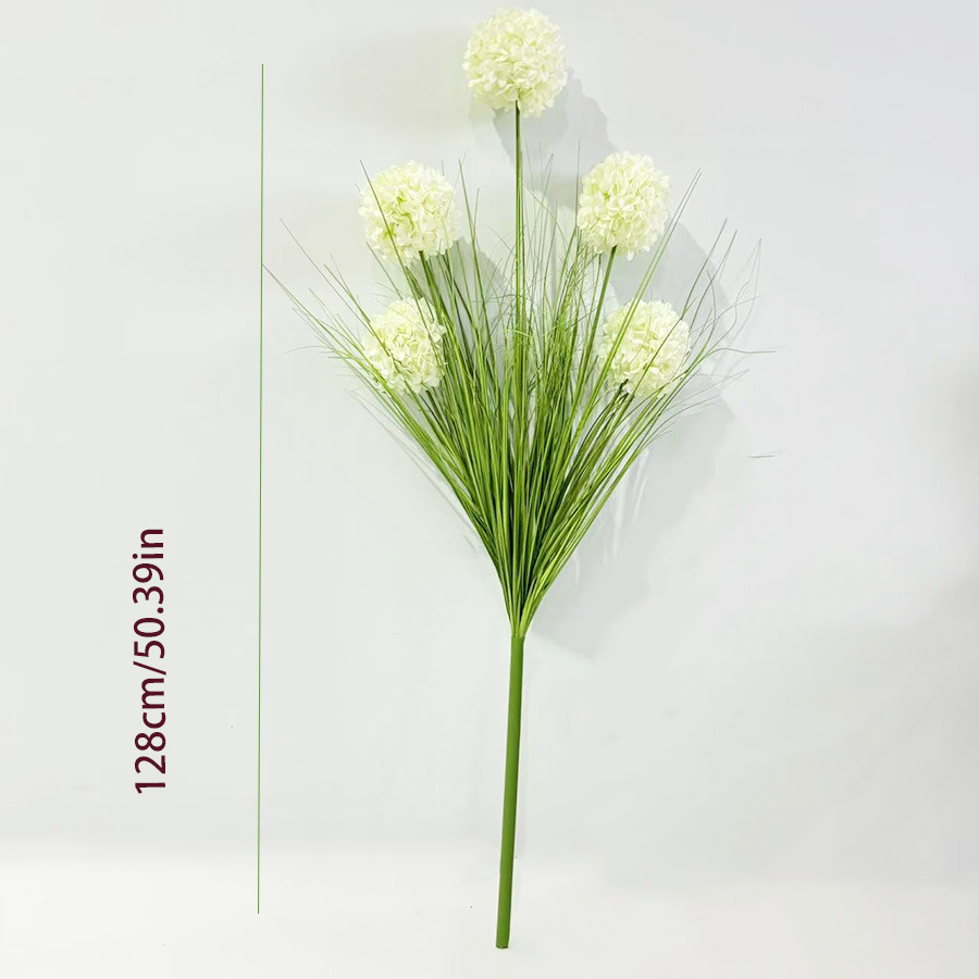 Hortensia blanc à 5 têtes