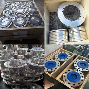 <span class=keywords><strong>Flange</strong></span> cega de aço inoxidável 304/316 DIN PN16 PN40 <span class=keywords><strong>Flange</strong></span> resistente à corrosão para projetos de dessalinização - Product Image 6