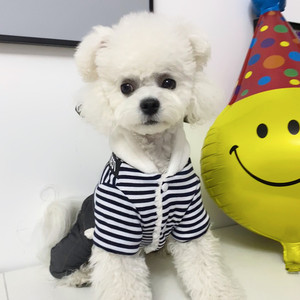 Striped Dog <b>Overalls</b> Cotton-Padded Clothes For Small Breeds Autumn <b>Winter</b> Wear Cute Comfortable Pet Apparel - Product Image 4