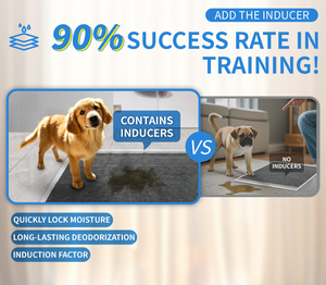 Almohadillas Absorbentes Desechables para Perros y Cachorros, Ecológicas, Super Absorbentes, con Tamaños Personalizables, Venta al Por Mayor - Product Image 2