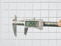 Maille de fil métallique soudée galvanisée à chaud, durable et facile à installer, conçue pour l'élevage de poulets et de canards