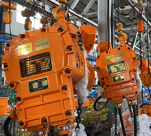 รอกโซ่ไฟฟ้ากันระเบิด ลดราคาพิเศษ มอเตอร์ 3 เฟส <span class=keywords><strong>1</strong></span> ตัน 3 ตัน 5 ตัน 7.5 ตัน 3 เมตร 6 เมตร - Product Image 5