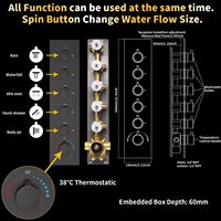 Système de douche multifonctionnel 5 fonctions au design moderne, finition chrome noir mat, avec jets latéraux et douchette à main