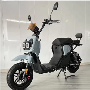 Nueva Bicicleta Urbana de 1000W con Cuadro de Acero, 7 Velocidades, Batería de Plomo-Ácido de 15AH, Alcance de 50km - Product Image 5