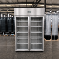 Congélateur professionnel à porte vitrée pour la restauration, avec refroidissement ventilé et système No Frost, pour stockage vertical