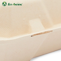 Vente en gros de boîte à lunch biodégradable à clapet de qualité alimentaire canne à sucre bagasse boîte à hamburger conteneur alimentaire.