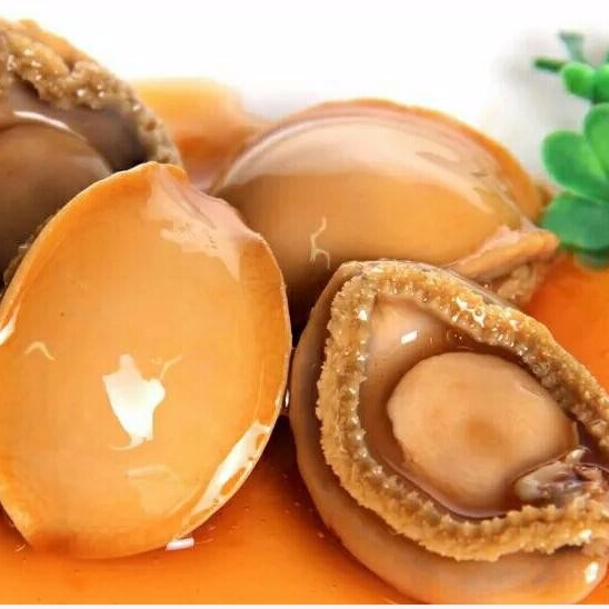 Gaishi OEM/ODM Wholesale Hot Sale High Nutritious Soup Braised Fresh Seasoned Food Brine 425g/can,24can/ctn Canned Abalone Can