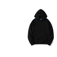 Sweat-shirts à capuche pour hommes en coton 100% de haute qualité, 460 grammes, style décontracté ample, plusieurs couleurs, logo personnalisé en gros